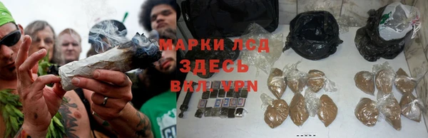 тгк Алзамай